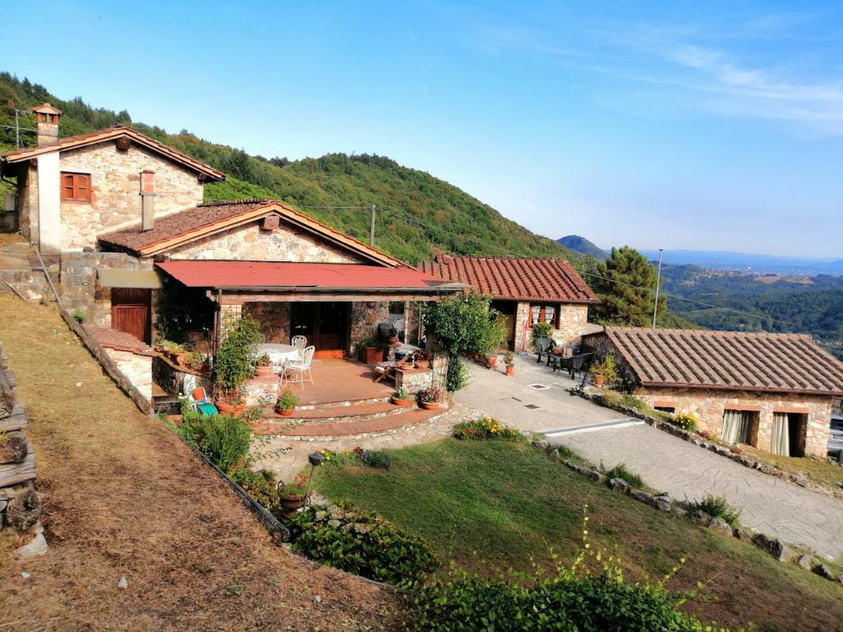 Villa Armonia บอร์โก อา มอสซาโน ภายนอก รูปภาพ
